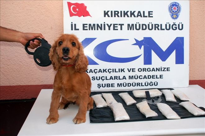 Terör Örgütüne bir darbe de Kırıkkale Emniyetinden
