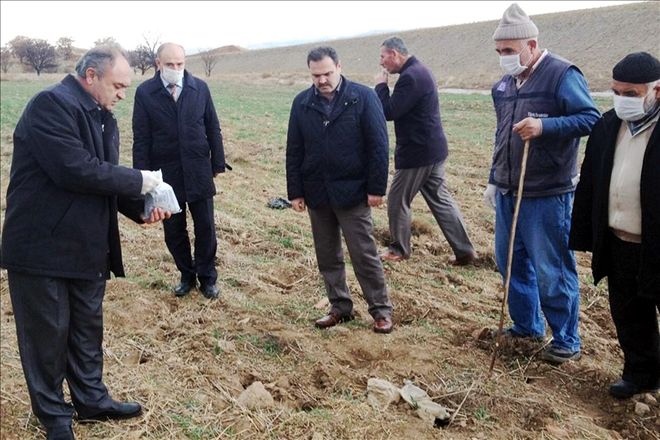 Çiftçinin şimdi de fareyle başı dertte