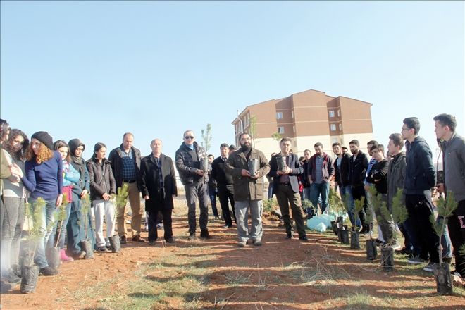 Gençler fidan dikmek için yarıştılar