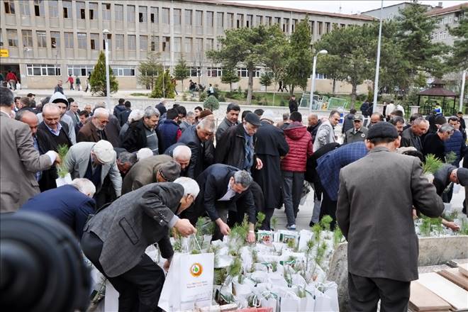 Cami cemaatine fidan dağıtıldı