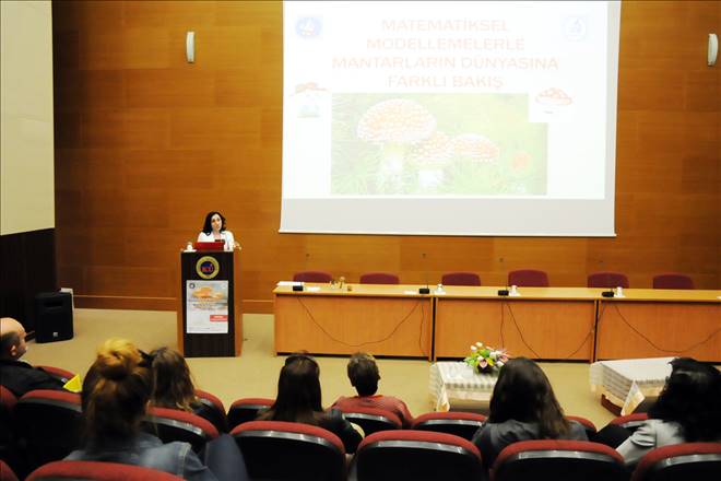 Matematiksel modellemelerle mantarın dünyasına bakış