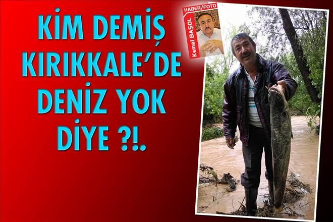 Tarlada balık avladılar