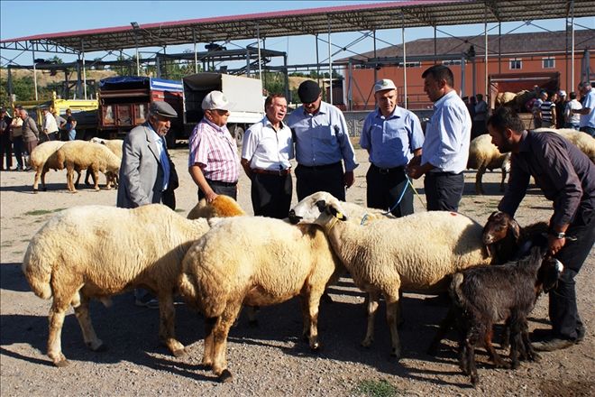 Kurban pazarı denetlendi