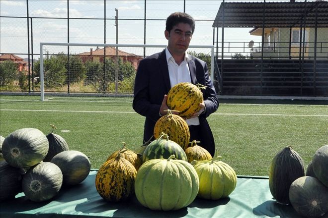 Delice´nin güzelliklerini tüm Türkiye tanıyacak