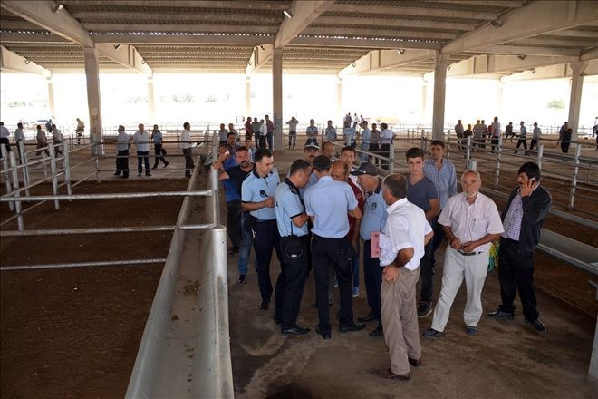 Kurban Pazarı ve Kesimhane hazır