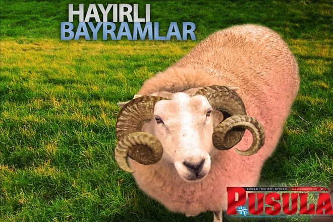 Hayırlı Bayramlar Dileriz