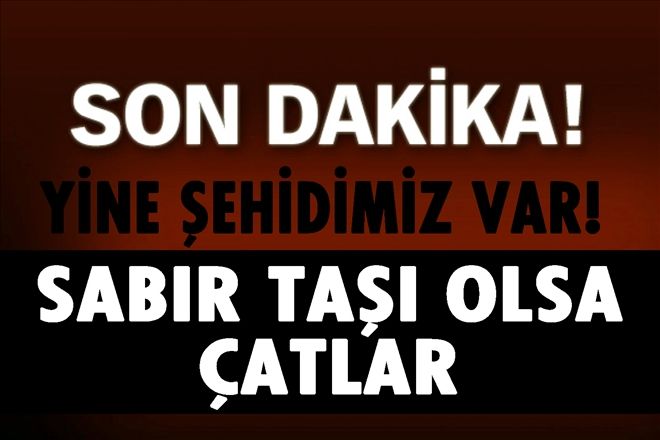Yine şehidimiz var