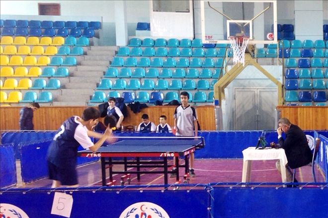 Yıldızlar Masa Tenisinde Muhittin Ardahan Birinci