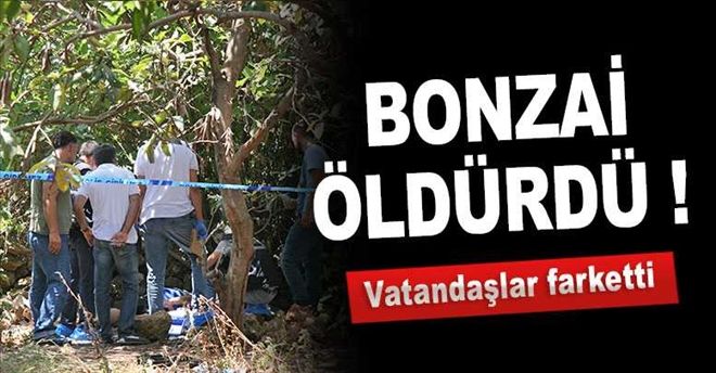 Bonzai içti öldü!