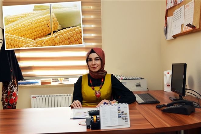 Mısır şurubu tehlike saçıyor
