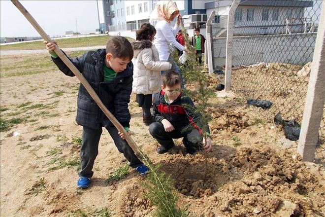 Her öğrenci bir fidan