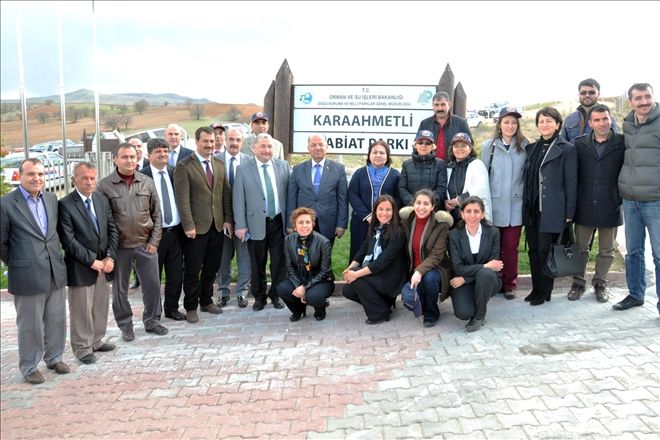 Karar verdik, Kırıkkale Ormanlarıyla anılacak