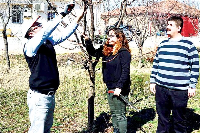 Köylerde Uygulamalı Budama Eğitimi Verildi