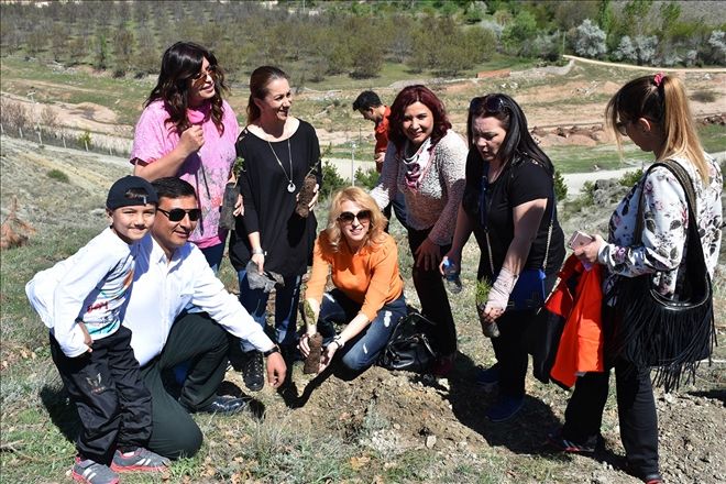 TSO çalışanları, fidanla toprağı buluşturdu