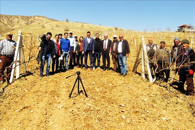 Delice´de ?Bağ Budama´ eğitimi