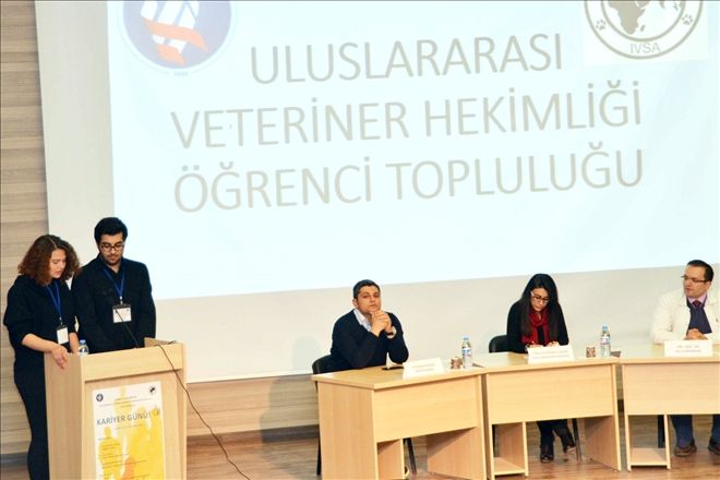 Veterinerlik, en şanslı mesleklerden