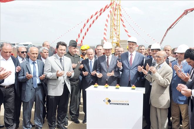 Bahşılı´da papatya zamanı