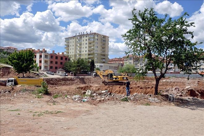 Sadece iki ağaç bıraktılar