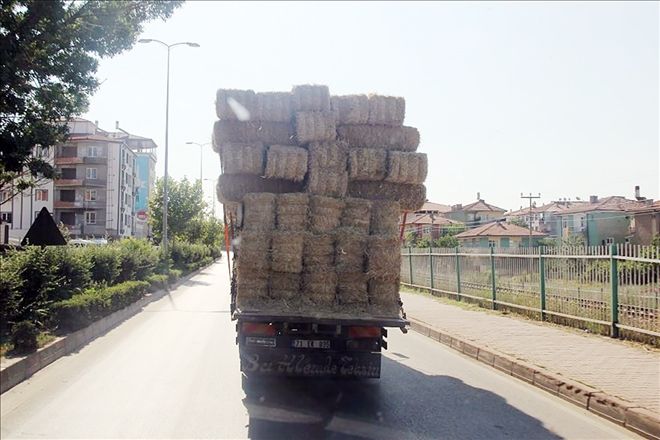 Yükü kendinden büyük