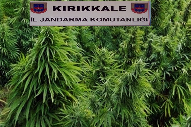 Uyuşturucu tacirlerinin hevesleri kursaklarında kaldı