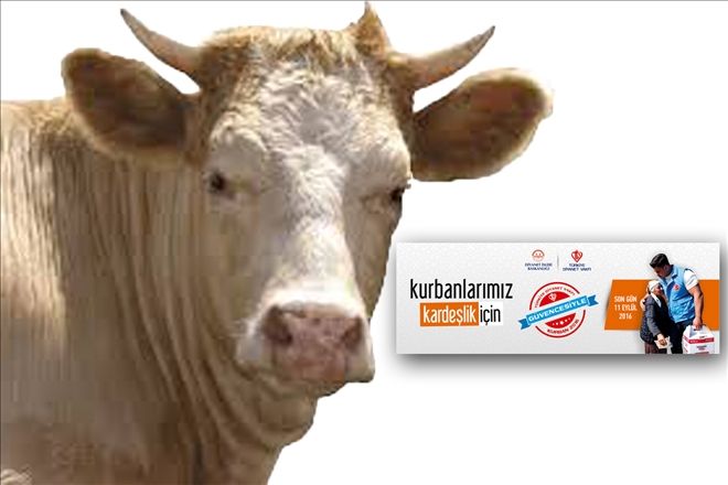 ?Kurbanlarımız kardeşlik için?