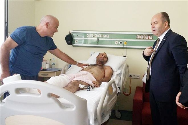Ana kuzularının acısına dayanamıyoruz