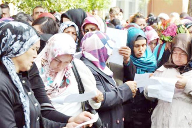 Şansa iş buldular 