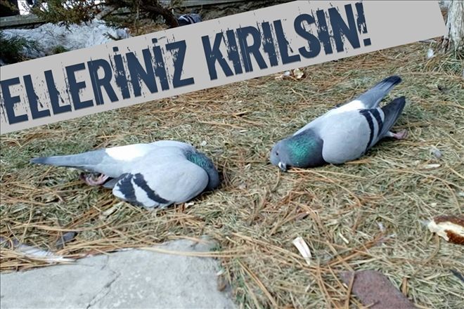 Elleriniz kırılsın!