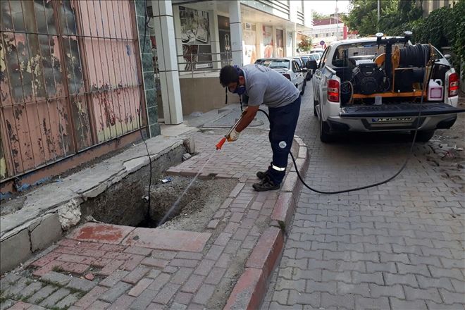 Belediyeden haşere mücadelesi