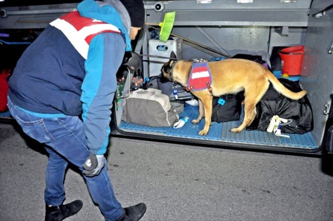 Jandarmadan köpekli  asayiş uygulaması 