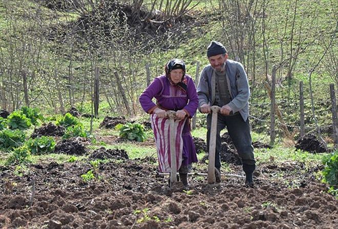 Kırsalda da göç veriyoruz