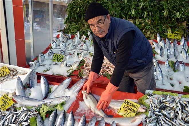 Balık ucuzlayacak, biraz soğuk lazım