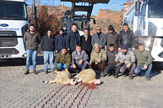 Yeni alınan araçlar için kurban kesildi