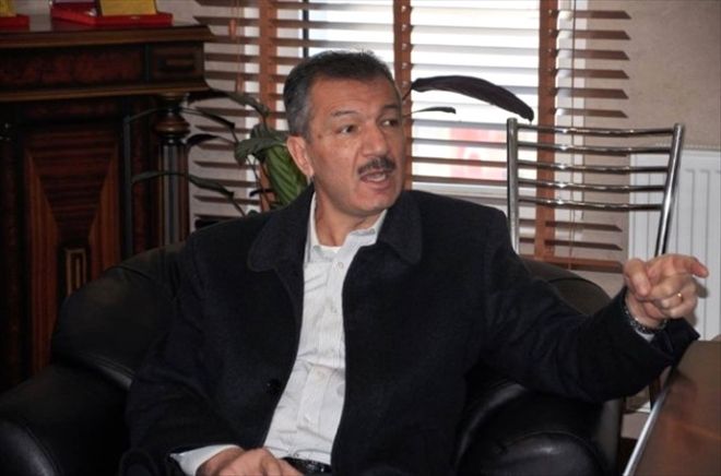 Polis, 172 yıllık ulu çınar