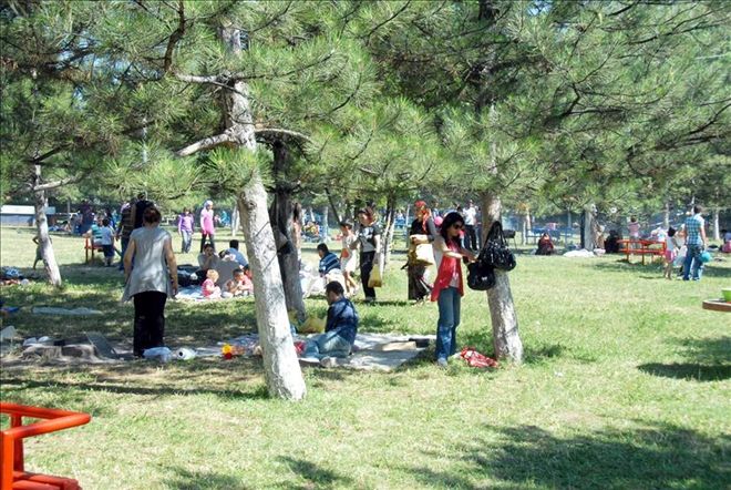 Oyunu kullanan pikniğe koştu