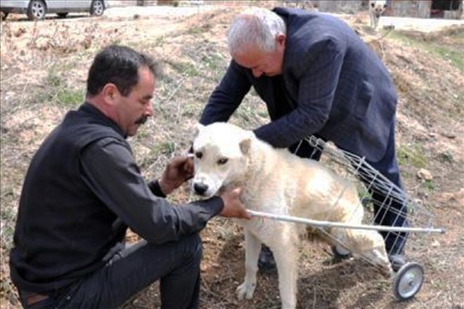 Kostak´a yürüme umudu doğdu