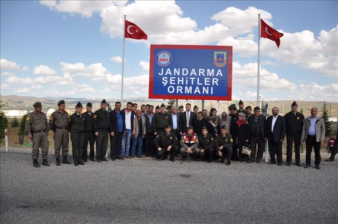 Jandarmanın ellerine sağlık