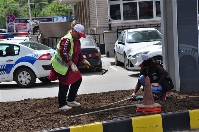 Cadde ve sokaklara kadın eli değdi