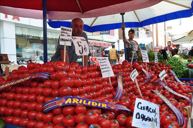 Domates tadımlık oldu