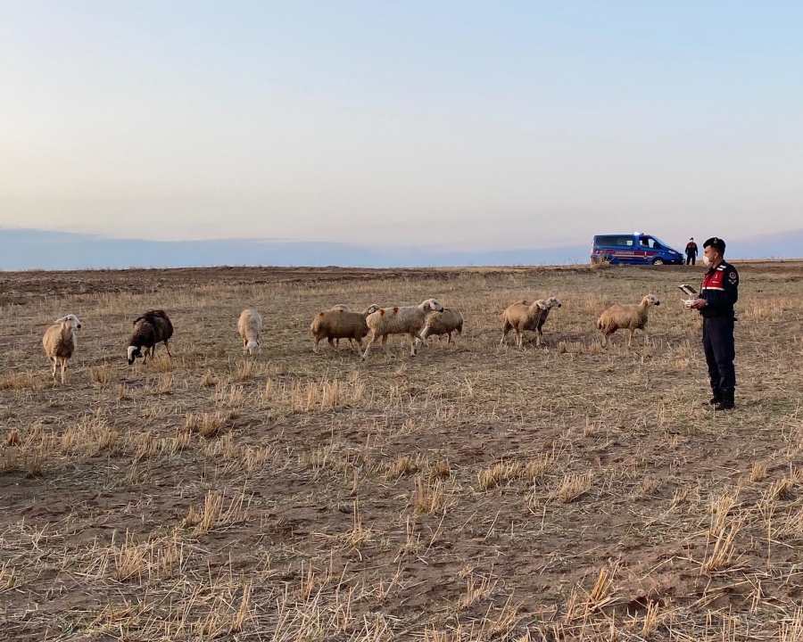 JANDARMA SEFERBER OLDU 