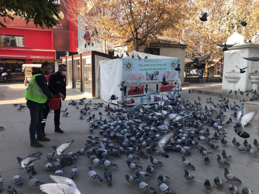 SEVİMLİ DOSTLARA ŞEVKAT ELİ