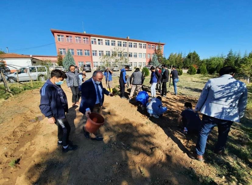 Bahşılı’da Lavanta kokulu okullar projesi