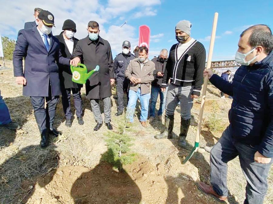 Yeşil bir Bahşılı için Fidanlar toprakla buluştu