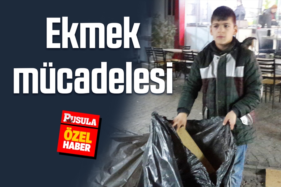 Sığınmacıların Ekmek mücadelesi 