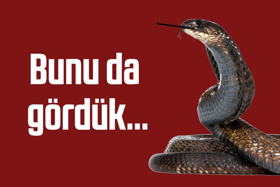 Bunu da gördük…