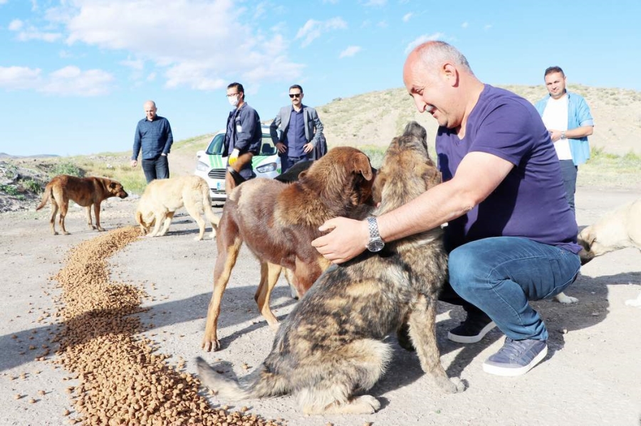 Sokak hayvanları asla sahipsiz kalmamalı 