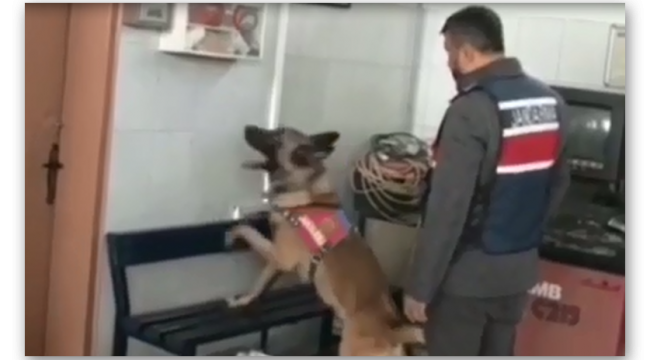 30 BİN LİTRE KAÇAK AKARYAKIT ELE GEÇİRİLDİ 