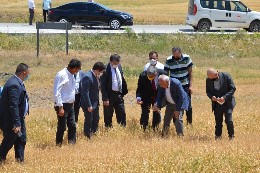 ULU, KURAKLIK TESPİT ÇALIŞMALARINA KATILDI