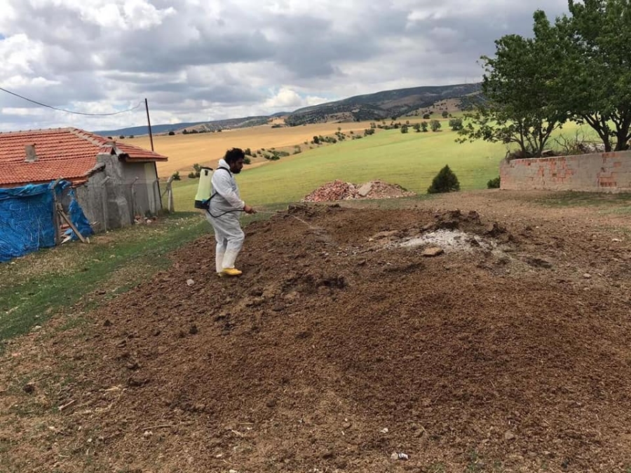 KÖYLERDE HAŞERE İLE MÜCADELE
