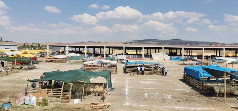 KURBAN PAZARI HİZMETE AÇILDI 